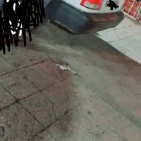 راهنمایی رانندگی در شهر