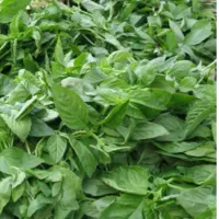 سبزی