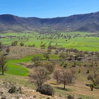 رهن و اجاره پارکینگ قصر قمشه