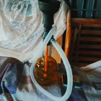 قلیون نو بایک طعم