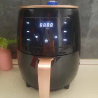 سرخکن رژیمی