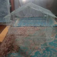 دوعددقفس پرنده. مرغ عشق قناری یاطوطی|لوازم جانبی حیوانات|بم, |دیوار