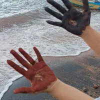 تور ترکیبی جزیره قشم و هرمز و هنگام|تور و چارتر|سبزوار, توحیدشهر|دیوار