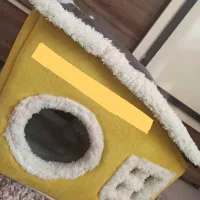 ملزومات گربه|گربه|ارومیه, |دیوار