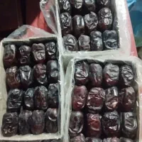درخت بندهستم