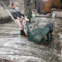 قالیشویی مبل شوی نوید سلطان آباد قلعه میر گلستان|خدمات نظافت|بهارستان, |دیوار