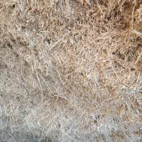 لوبیا پیرس بادام و کلش گندم دیم|عمده‌فروشی|قشلاق دشت, |دیوار