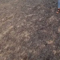 اوستا بناهمه کاره ۰۰۰ وگچ کاری۰۰۰۰