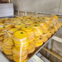 نیازمند نیروی آقا و خانم در گردخون