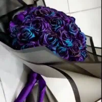 گل روبانی جاودان|گل مصنوعی|بناب, |دیوار