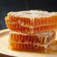 عسل بهاره عمده ۵۵۰