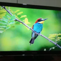 تلوزیون 42 سامسونگ