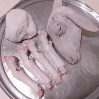 پاک کردن کلە پاچە