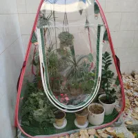 گلخانه خانگی اصفهان|خدمات پیشه و مهارت|فولادشهر, C4|دیوار