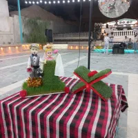 سبزه طبیعی موجود (واسه شب یلدا)