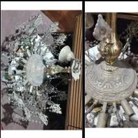 کبوتر تهرانی بلژیکی اکواریوم بخاری...|پرنده|رشت, منظریه|دیوار