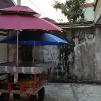 فروش گاری آماده برای کاسبی کردن و یا میوه فروشی|حراج|رشت, دیانتی|دیوار