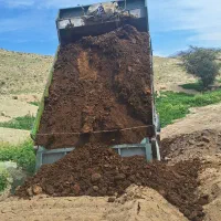 فروش کود حیوانی|خدمات باغبانی و درختکاری|کازرون, |دیوار