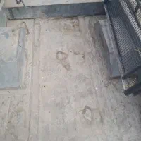 کفی دوگانه فابریک نیسان