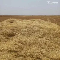 کاه