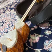 تار ۳/۴ زیبا|سازهای سنتی|هشتگرد, شهرک ولیعصر (مصلی)|دیوار