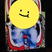 کالسکه و روروک کرییر