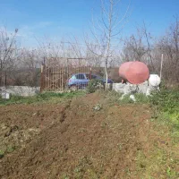 فروش باغ مرکبات|فروش زمین و ملک کلنگی|قائمشهر, |دیوار