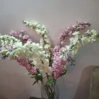 8 شاخه گل زیبا