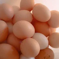 تخم مرغ محلی