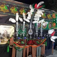 علامت کامل فقط حیوان‌ها فروخته شده