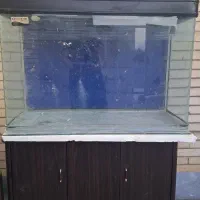 اکواریوم