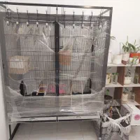 قبول واگذاری