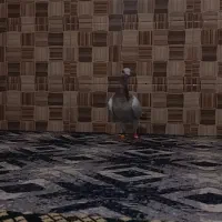 کبوتر هفت رنگ