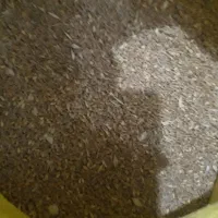 خوراک دام وطیور