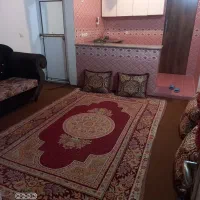 سوئیت شبانه