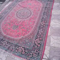 موکت|موکت|مشهد, پروین اعتصامی|دیوار