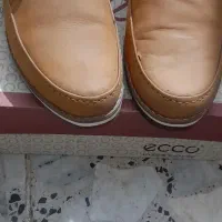 کفش نبوک سایز43کیفیت عالی|کیف، کفش، کمربند|شفت, |دیوار