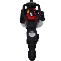 دلر پیکور بنزینی