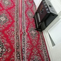 پادری|پادری|پاکدشت, پاکدشت (مامازند)|دیوار