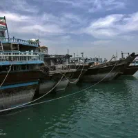 حمل و نقل واردات کالا از چین و دبی ته لنجی تضمینی|خدمات حمل و نقل|تهران, شهرک استقلال|دیوار