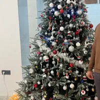 درخت کریسمس برفی