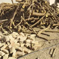 خریدار چوب وقطع درخت|خدمات باغبانی و درختکاری|فسا, |دیوار