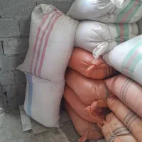 فروش ۲۰ عدد سوپ جوی هاشمی