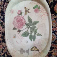 سینی در طرح و رنگ مختلف
