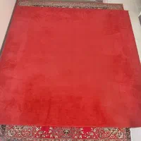 پالاز موکت|موکت|کرج, شهرک علی ابن ابیطالب (کوثر)|دیوار
