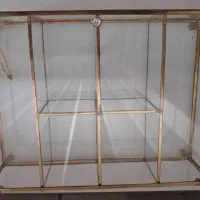 تی بگ