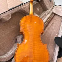 ویولن Student Model با کاور|ویولن|الوند, |دیوار