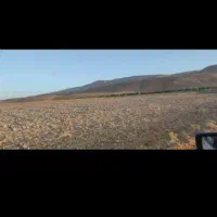 فروش ۶۰۱۰متر زمین کشاورزی