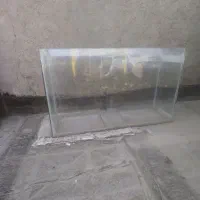 آکواریوم
