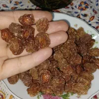 الوچه خورشتی|خوردنی و آشامیدنی|شاهین‌شهر, شهرک سایت|دیوار